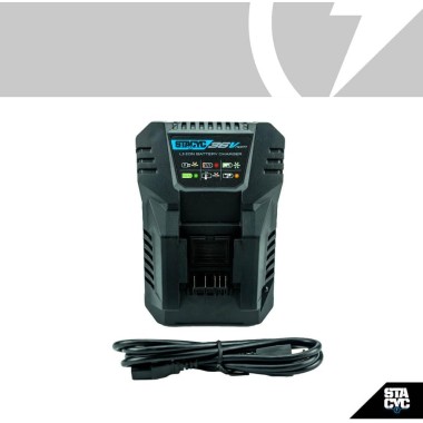 CHARGEUR BATTERIE RAPIDE 36V" FAST BATTERY CHARGER - 3AH/6AH" pour DRAISIENNES STACYC